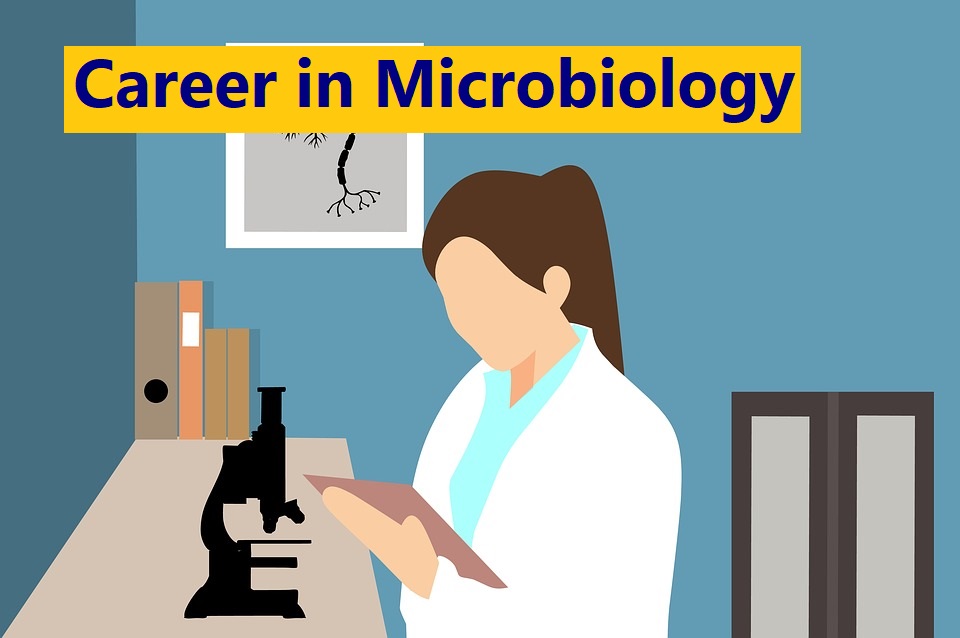 microbiology career