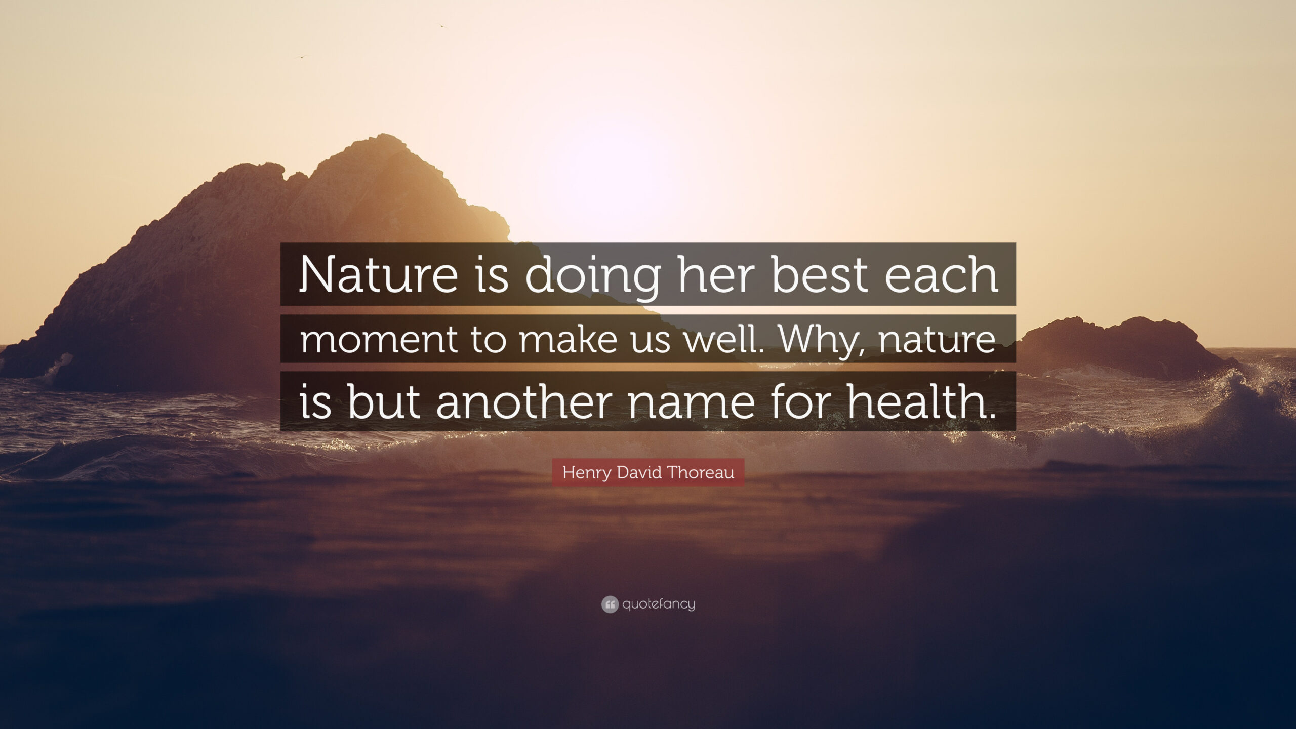 Henry-David-Thoreau-Quote-Nature-is-doing-her-best-each-moment-to